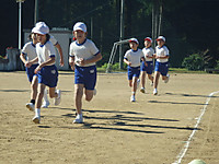 Pb020065