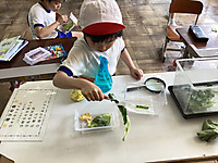 Img_3538
