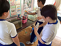 Img_3567
