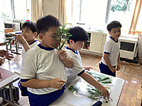 Img_3882