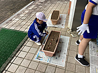 Img_4350 Img_4350