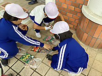 Img_4351 Img_4351