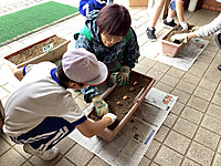 Img_4365 Img_4365