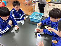 Img_4606 Img_4606